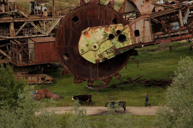 Livestock grazing past a giant abandoned bucket-wheel excavator. Photo courtesy of the artist