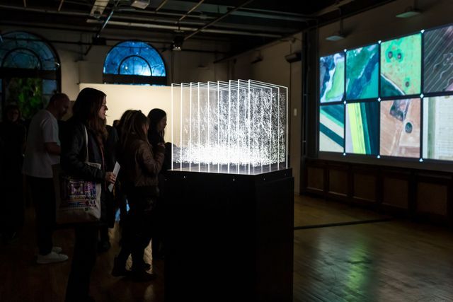 Andreea Săsăran's Untitled Cloud and Laura Cinti's Our Salvia at the Soft Thresholds exhibition opening, Atelier030202, Bucharest, October 2025. Photo: Alina Ușurelu