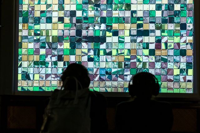 Visitors watching Our Salvia video projection. Photo: Alina Ușurelu