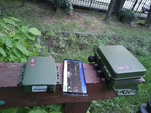 Audio Recorders and a real-time spectrogram app set up on a bench in Cișmigiu Garden. Photo: Mihaela Ciobotă