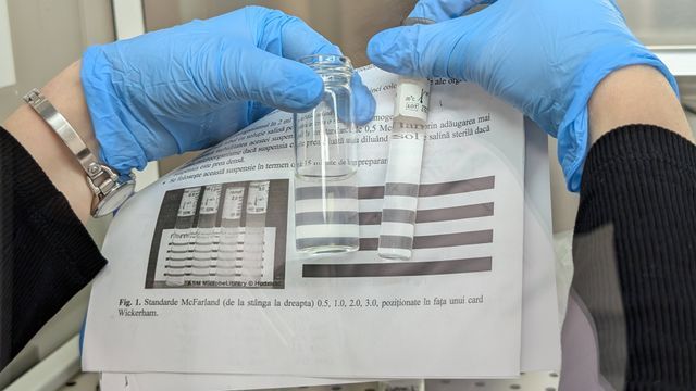 Checking transparency of diluted cultures using the McFarland standard. Photo courtesy of the artist