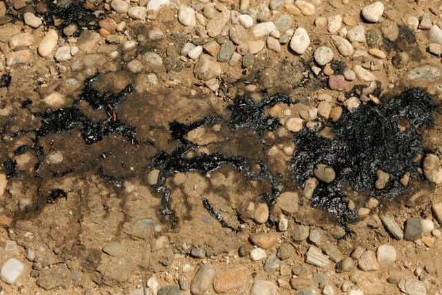 Crude oil residue seepage soaked into the gravel. Photo courtesy of the artist
