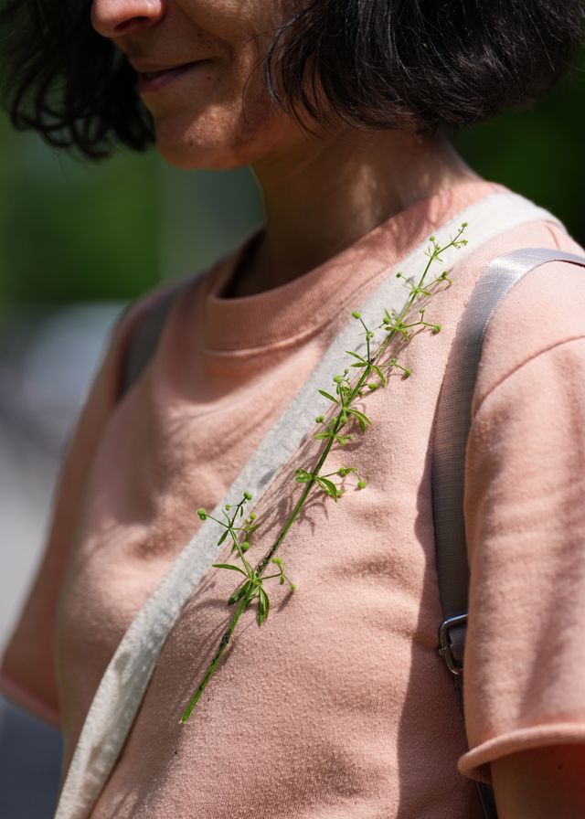 Artist Sabina Suru carrying a naturaly sticky plant specimen during survey work. Photo Wesley Hennigh-Palermo
